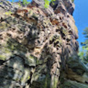 Meet your Posher, Alaynah